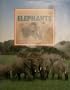 Elephants (Endangered Species)