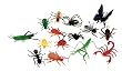 Big Bunch O' Bugs