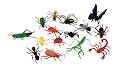 Big Bunch O` Bugs