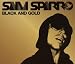 Bild: Black & Gold (2-Track)