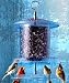 Outdoor Living : Gold Crest Distributing All Weather Feeder 6 Quart