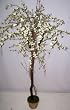 66" Cherry Blossom Tree (Cream)