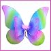 Rainbow Fairy Princess Wings
