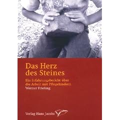 Das Herz des Steines: Ein Erfahrungsbericht �ber die Arbeit mit Pflegekinder