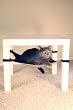 Cat Crib - Tan