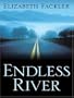 Endless River