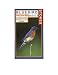 Songbird Essentials Stokes Bluebird Basics Video