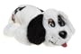 Pound Puppies Classic: Dalmatian