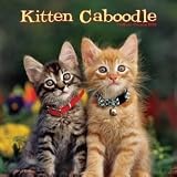 Kitten Caboodle 2010 Wall Calendar
