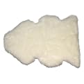 Single Sheepskin Pelt - Ivory