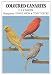 Search : Coloured canaries