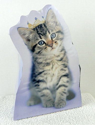 Rachel Hale Puppies and Kitties 16 Valentine Cards 48 Heart Seals and Keepsake Kitty Box