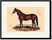 Search : Black Framed/Matted Print 17x23, Dollar