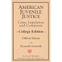 American Juvenile Justice