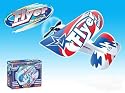 MiniType Flyer RC Airplane