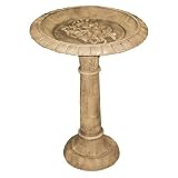 Outdoor Living : Southern Patio Floral Reflection Birdbath