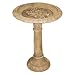 Southern Patio Floral Reflection Birdbath