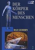Der K�rper des Menschen 2 - Das Gehirn - 