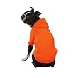 Zack & Zoey Basic Hoodie Sm Vibrant Orange