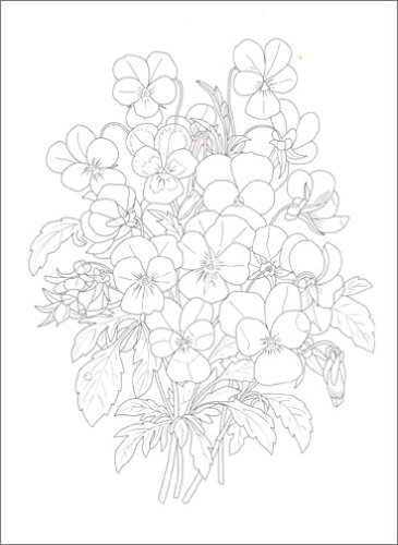Cover image : 大人の塗り絵―美しい花編