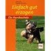 Einfach gut erzogen: Die Hundeschule