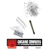 Cocaine Cowboys 1 + 2 - Die ultimative Gangster Edition (2 DVDs)