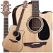 Takamine Dread Walnut Indi Ae Ca