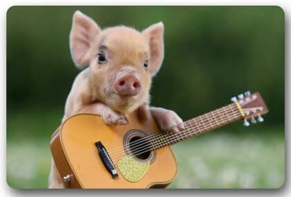 Little Lovely Cute Baby Pig Playing Guitar Non-woven Fabric 23.6"(L) x 15.7"(W)Machine-washable Indoor/Outdoor/Shower/Bathroom Doormat