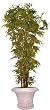 10FT BAMBOO PALM
