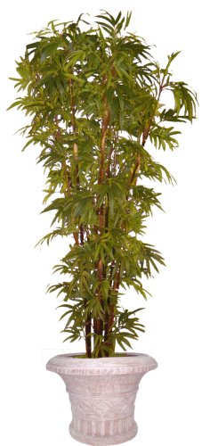 10FT BAMBOO PALM