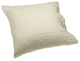 DKNY Picked Contrast Stitch European Sham, Celedon/Melon