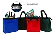 Insulated zippered Hot & Cold Cooler Tote - Medium