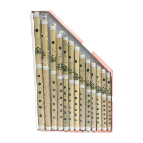 Indian Bamboo Flute Set
