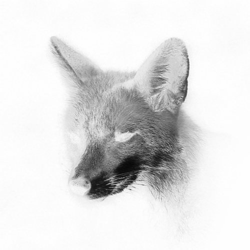 Canson - Night Train-EP-(CFLTD06)-WEB-2012-HQEM Download