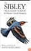The Sibley Field Guide to Birds of Western North America