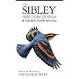 The Sibley Field Guide to Birds of Western North America by David Allen Sibley