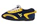 West Virginia Mountaineers All Around