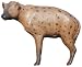 McKenzie® Safari Series African Hyena Target Midsection Only