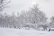 Snow on the Washington National Mall Photograph - Beautiful 16x20-inch Photographic Print by Carol M. Highsmith