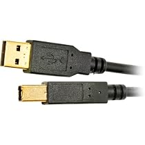 Tripp Lite U022-010 USB2.0 Certified Gold A/B Device Cable - 10ft