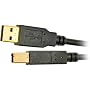 Tripp Lite U022-006 USB2.0 Certified Gold A/B Device Cable - 6ft