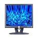 Dell E172FP - Flat panel display - TFT - 17
