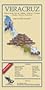 Veracruz State & Xalapa City Map EIAGS (Spanish Edition)