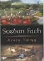 Sosban Fach (Cyfres cip ar Gymru)