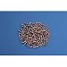 Valve Stem Core (Lot of 100)