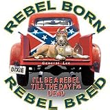Rebel Born/Bred-Dog Womens Scoop Neck T-Shirt