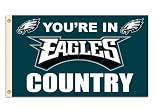 NFL Philadelphia Eagles 3-by-5 Foot "In Country" Flag