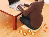USB あったかクッション USB あったかクッション