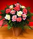 Peaches and Cream Bouquet - 12 Roses