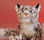 Snow Leopard 16" by Leosco